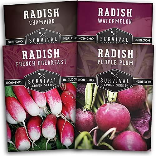 Colorful Crayon Colors Radish Mix FREE SHIPPING Variety Sizes Sold Easy Grow
